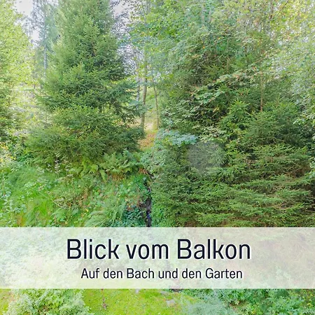 Baechle Im Wanderparadies Balkon Mit Blick Auf Den Bach Sauna Im Haus Tiefgarage E-ladestation Lägenhet *