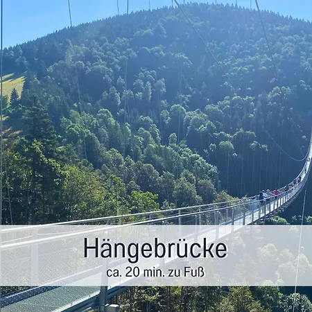 Baechle Im Wanderparadies Balkon Mit Blick Auf Den Bach Sauna Im Haus Tiefgarage E-ladestation Lägenhet Todtnauberg